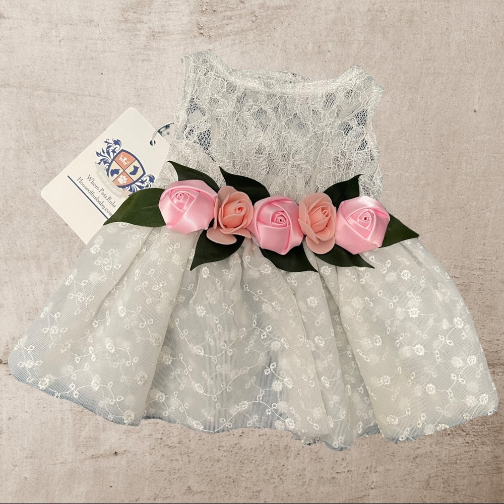NWT XS pet dress for wedding or special event!